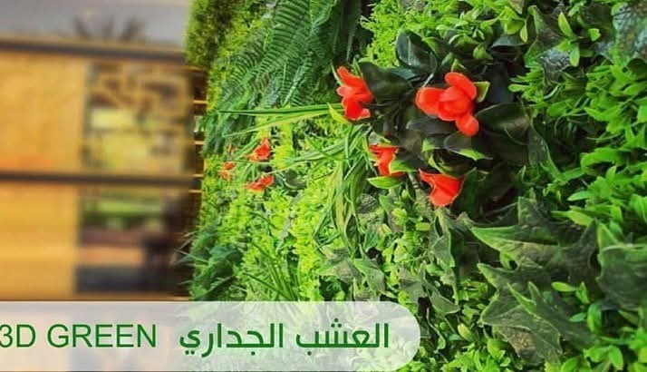 صورة تنسيق حدائق وشلالات ونوافير مؤسسة نجران